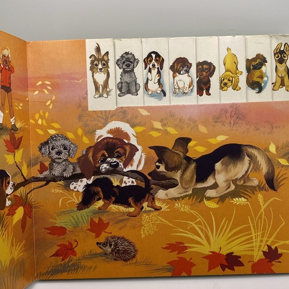 Vintage Ten Little Dogs Hardboard Children’s Book 1979 Brimax English Edition - Picture 7 of 13